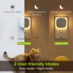 LED Night Light